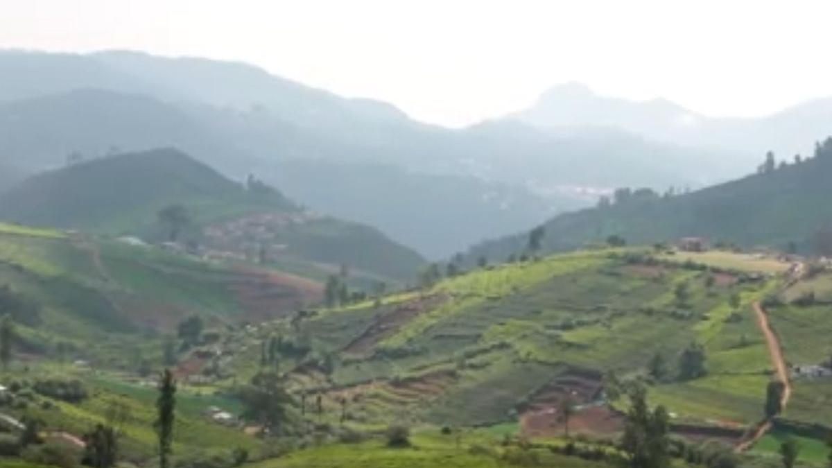 Once cold and steady, now erratic and dry: What is...