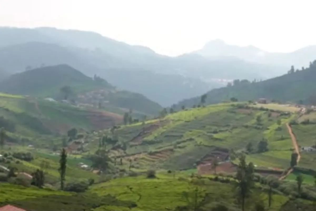 Nilgiri Biosphere Reserve | Photo: PTI