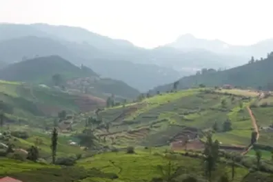 Once cold and steady, now erratic and dry: What is happening in the Nilgiris?