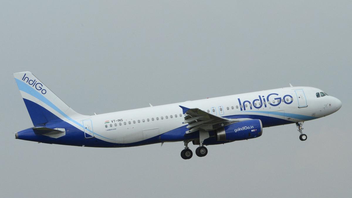 IndiGo Chennai–Singapore flight delayed nearly 6 hours; Viral video shows passenger anger