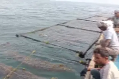 HDPE rafts developed in Visakhapatnam could revolutionise India’s seaweed farming