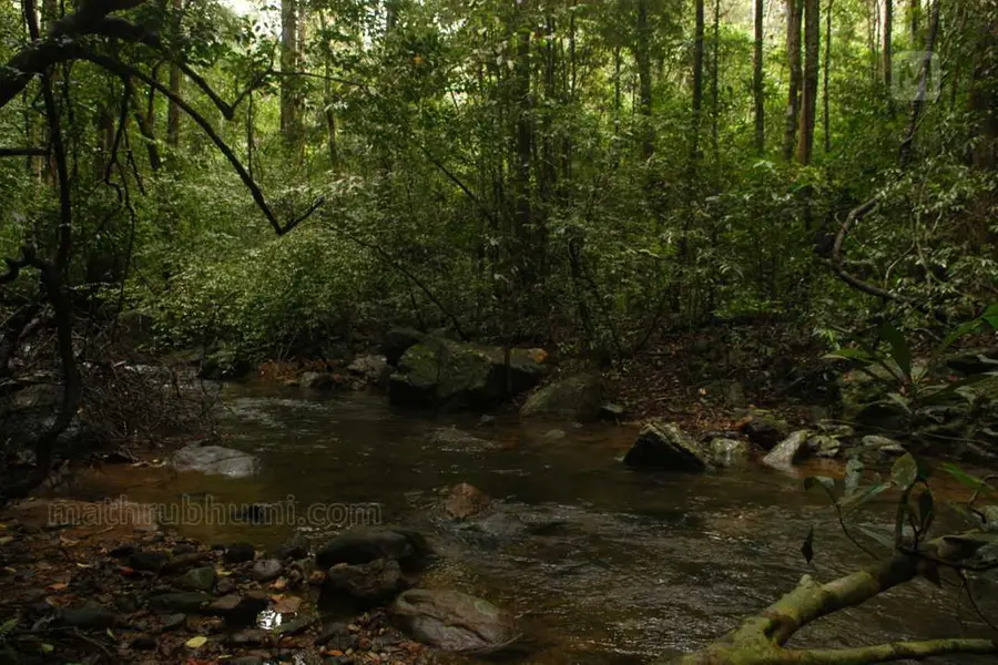 സൈലന്റ്വാലിയിൽനിന്ന് രണ്ട് പുതിയ ഇനം മണ്ണിരയെ കണ്ടെത്തി