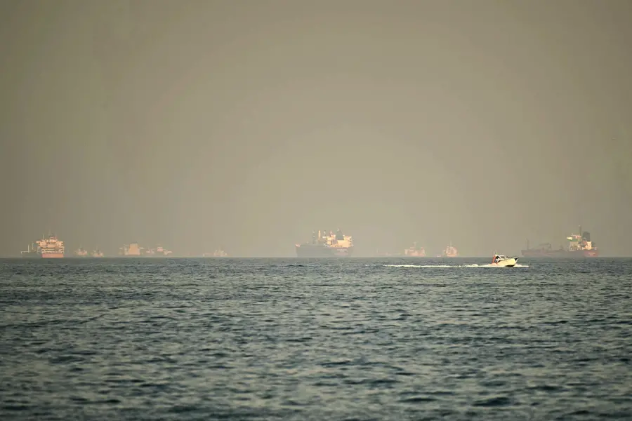 Why did Iran stop Pakistani ships from entering the Strait of Hormuz?