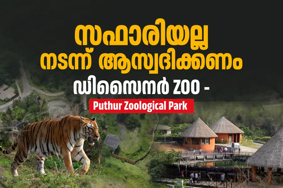അടച്ചിട്ട കൂടുകളില്ല, തുറന്ന സ്ഥലത്ത് മൃഗങ്ങളെ കാണാം | Puthur Zoological park