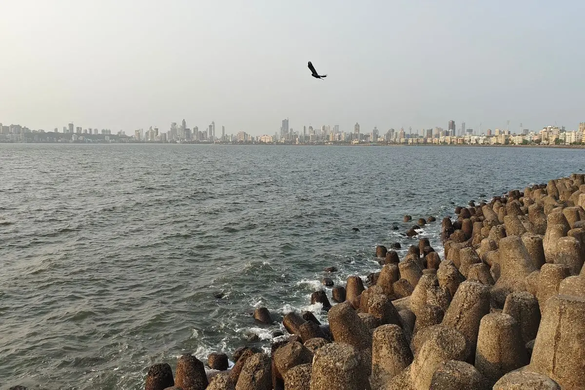 Representational image (Photo: Canva)