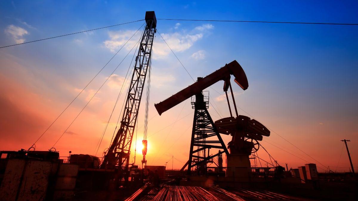 Russia pledges to meet India’s energy needs amid West Asia supply disruptions