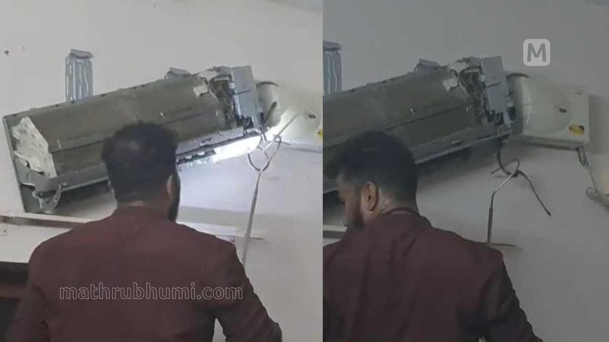 Snakes in Air Conditioner | വീട്ടിലെ എസിയ്ക്കുള്ളില്‍ കണ്ടത് അഞ്ച് ...