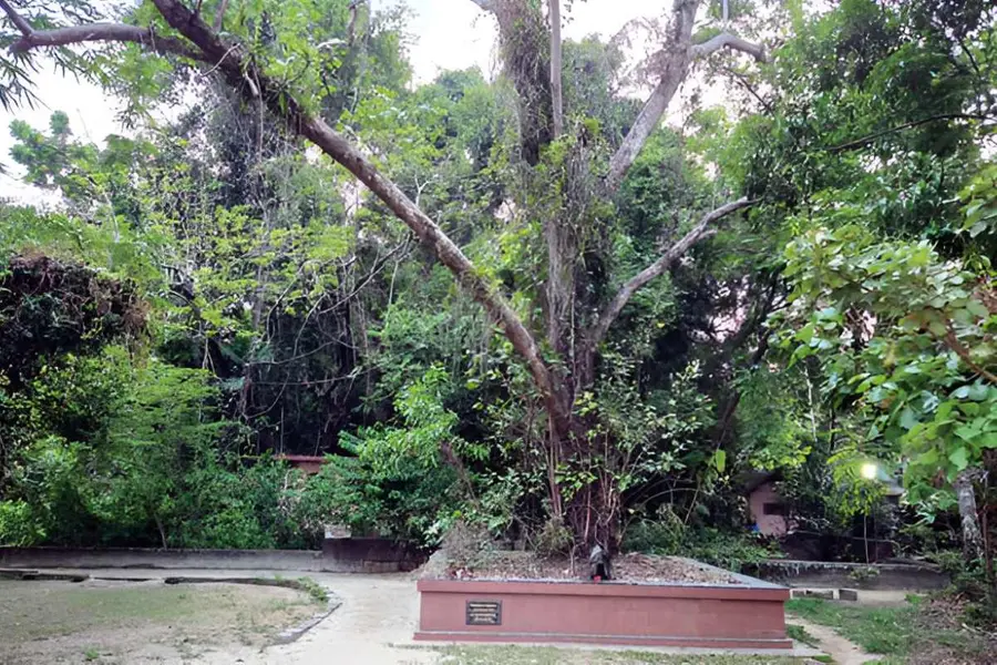 vanadurga kavu
