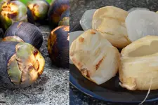 ഗുണങ്ങളറിഞ്ഞാൽ പിന്നെ അവഗണിക്കില്ല; വേനലിൽ ദാഹവും വിശപ്പും അകറ്റാൻ പനനൊങ്ക്