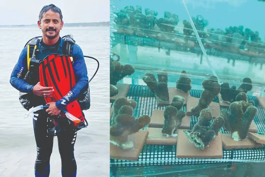 സുനാമി പ്രതിരോധശേഷിയുള്ള പവിഴപ്പുറ്റുകൾക്ക് സംരക്ഷണം: അതിജീവനത്തിന്റെ പുതുപാഠവുമായി മലയാളി
