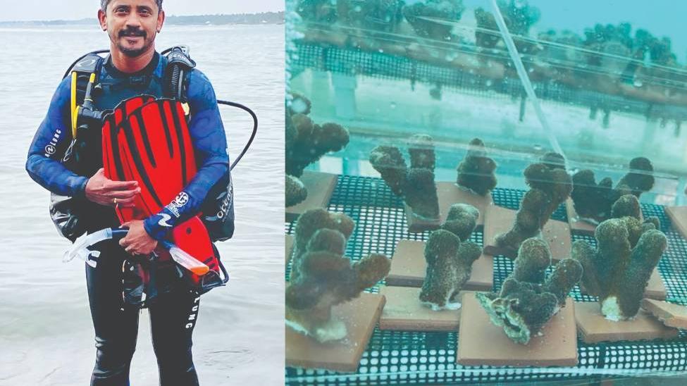 Malayali scientist revives endangered Coral Reefs; First-of-its-kind effort in India