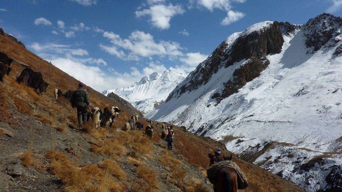 Pakistan, China no more 'all-weather' friends? There's an Afghan angle