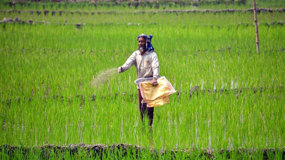 Hidden danger of Iran war: Fertiliser crisis that could send food prices soaring