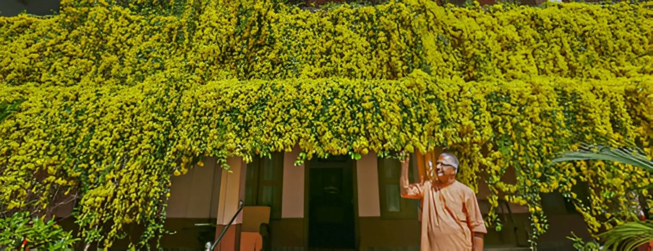 ക്യാറ്റ്സ്ക്ലോ