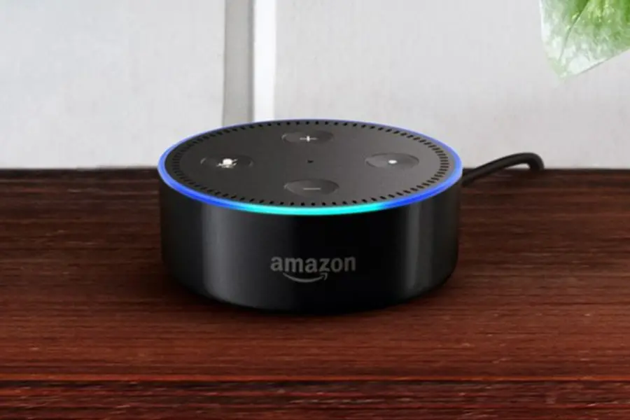 Amazon Alexa Allegedly Asks 4-Year-Old About Her Clothing: Mother Raises Concerns