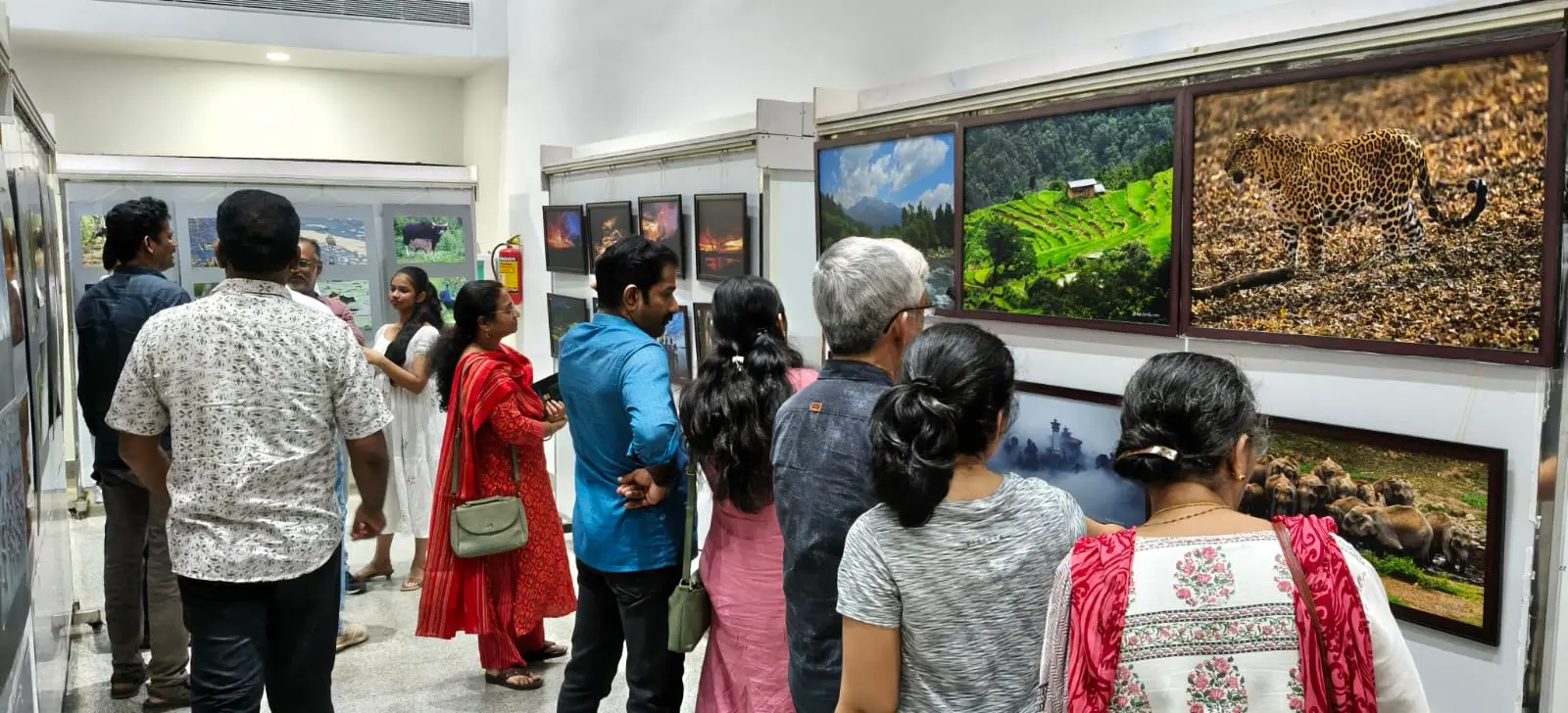 പ്രകൃതി- വന്യജീവി ഫോട്ടോ പ്രദർശനത്തിൽനിന്ന് | ഫോട്ടോ: അറേഞ്ച്ഡ്