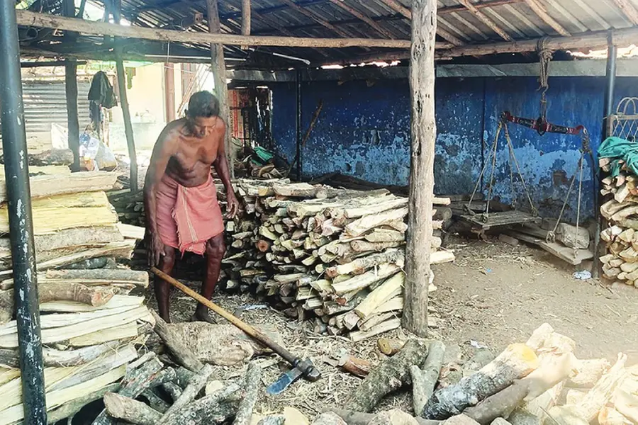 പാചക വാതകക്ഷാമം; വിറകിന്റെ വിലയും 'തീപിടിക്കുന്നു', ടണ്ണിന് കൂടിയത് 1000 രൂപ മുതൽ 1500 രൂപവരെ