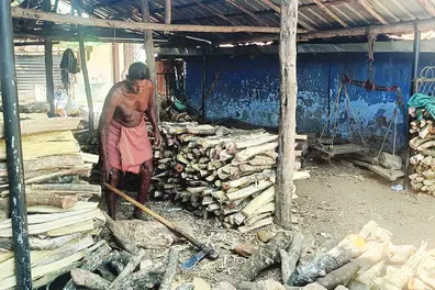 Firewood prices surge amidst LPG shortage; Homes, hotels hit