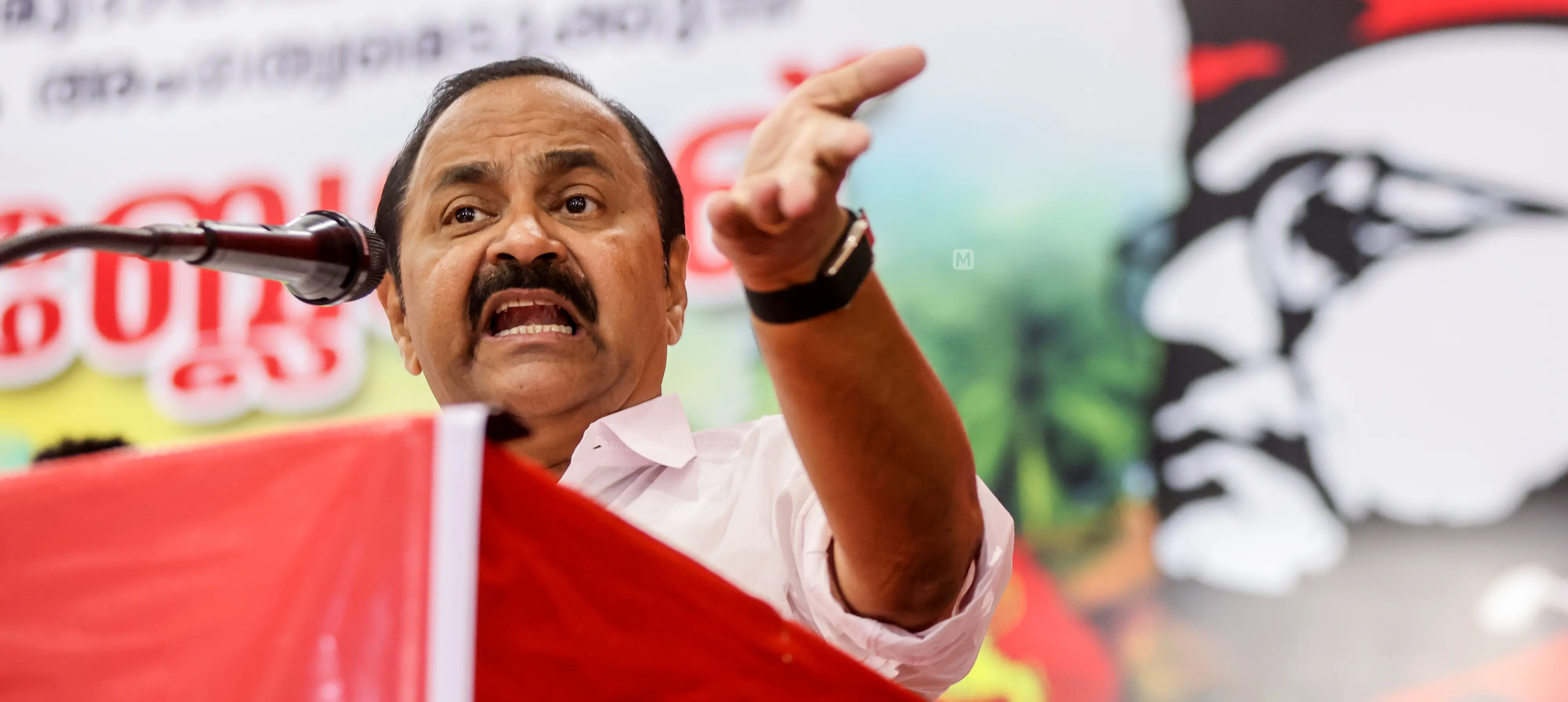 വി.ഡി. സതീശൻ | Photo:Mathrubhumi