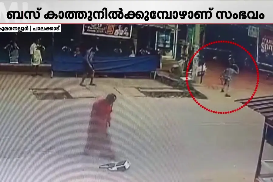 ബസ് കാത്തുനിന്ന വിദ്യാർഥിനിക്ക് നേരെ പാഞ്ഞടുത്ത് തെരുവുനായ, രക്ഷകനായി നാട്ടുകാരൻ