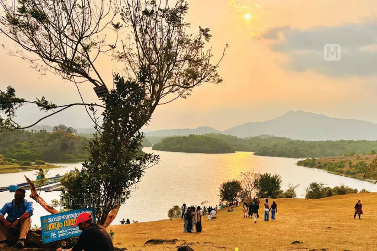നെല്ലാറച്ചാൽ വ്യൂ പോയിന്റ് | ഫോട്ടോ: മാതൃഭൂമി