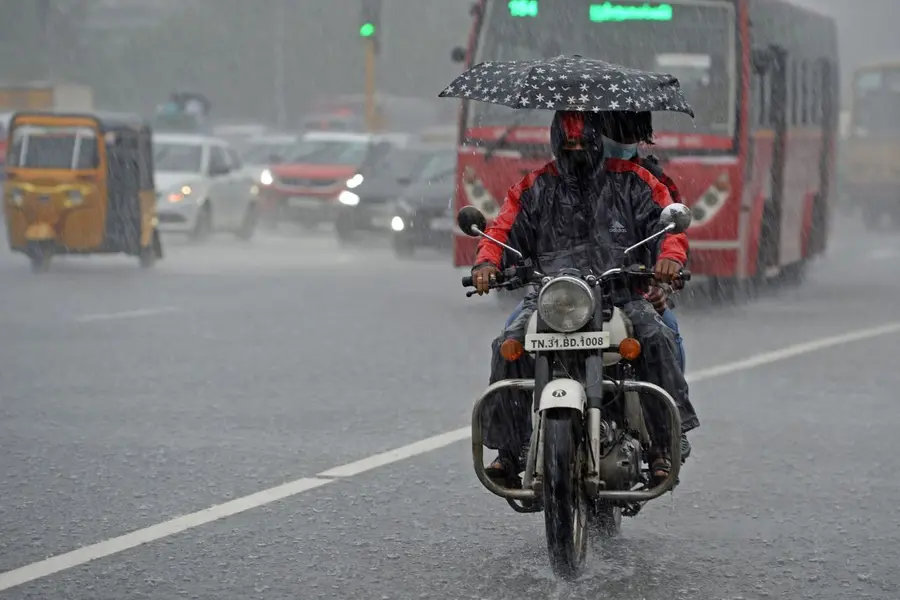 RAINFALL.jpg