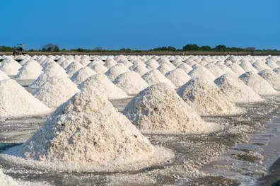 Under harsh sun, uncertain future: Thoothukudi salt workers seek government support