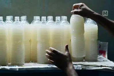 40 fall sick after consuming sedative-laced toddy in TN’s Tiruppur; four in critical condition