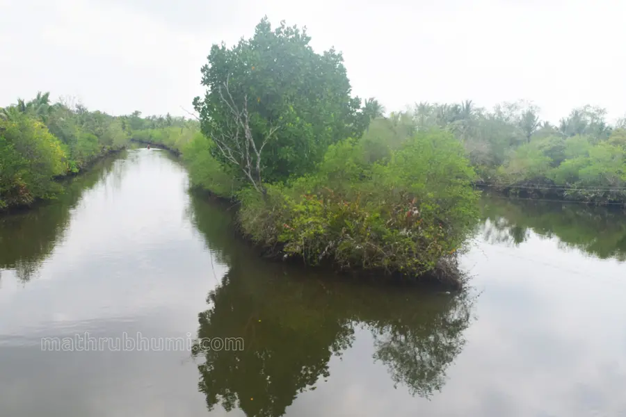 കല്ലടയാർ കനിഞ്ഞരുളിയ മണ്ണ്; ഉപ്പുവെള്ളം കവർന്നെടുത്ത ജീവിതങ്ങൾ | മൺറോ തുരുത്തിന് സംഭവിച്ചത്