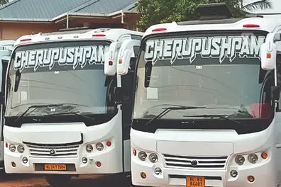 Cooking gas shortage stalls tourism; Tourist buses hit hard as travel plans collapse