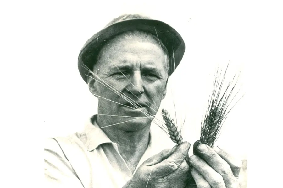 borlaug
