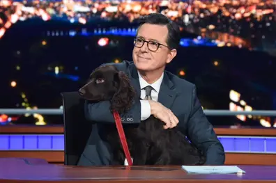 Stephen Colbert to co-write second upcoming 'Lord of the Rings' film