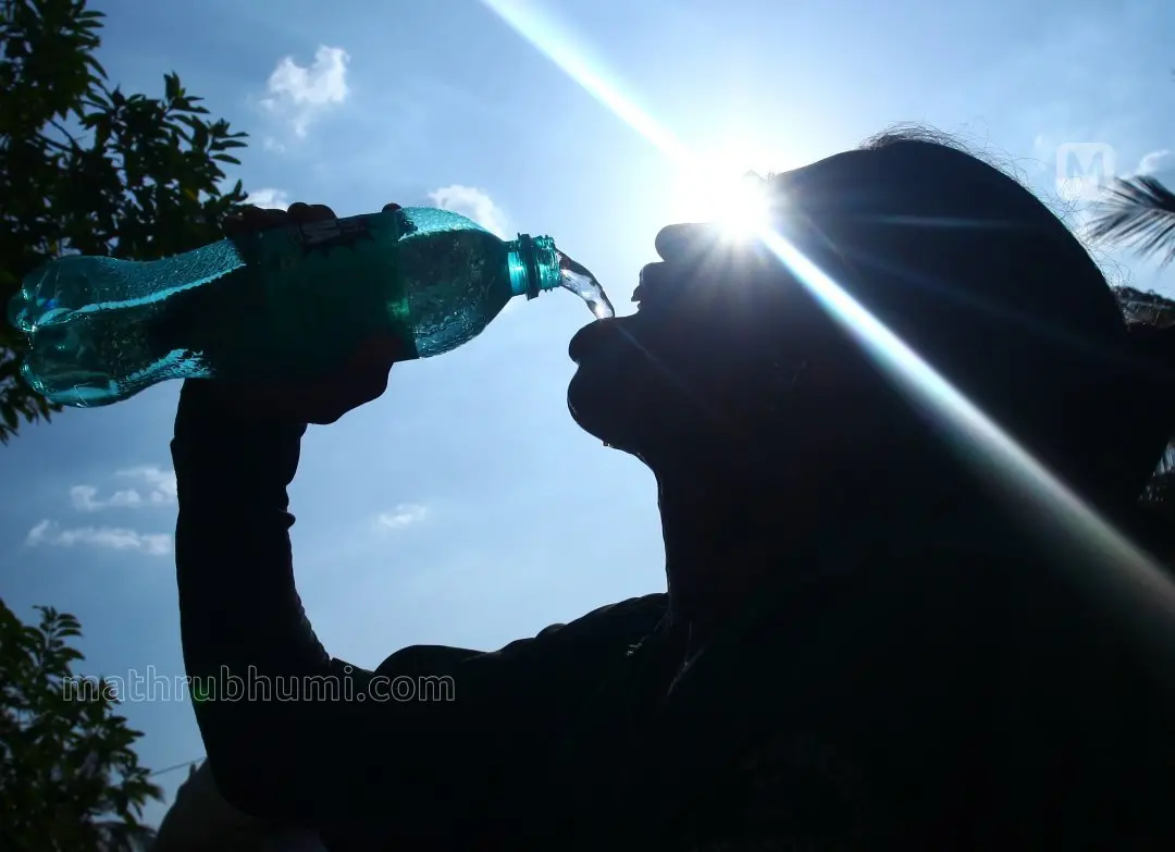 Representational Image | Photo: Mathrubhumi
