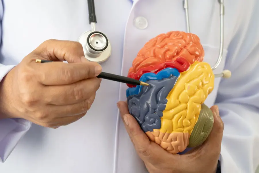 Common diabetes drug works by acting on brain, study shows