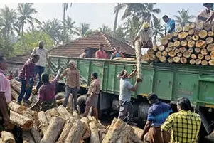 ഇതാ ‘ഒരുലോഡ് സ്നേഹം’; അപകടത്തിൽപ്പെട്ട ലോറിയിലെ മരത്തടികൾ സൗജന്യമായി കയറ്റിനൽകി ലോഡിങ് തൊഴിലാളികൾ