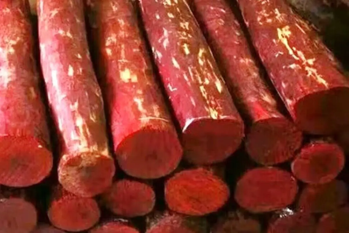 Red sanders