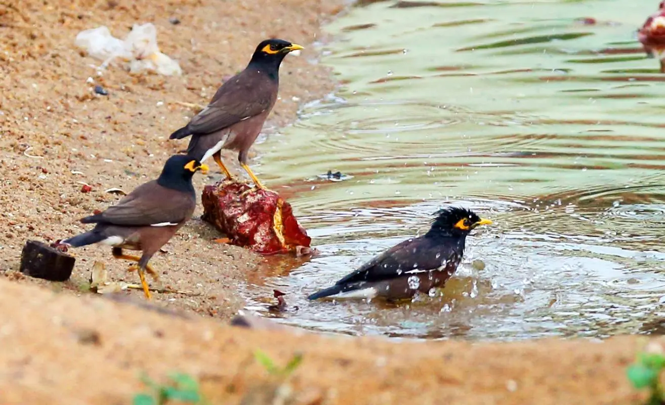 പ്രതീകാത്മക ചിത്രം | ഫോട്ടോ: മാതൃഭൂമി
