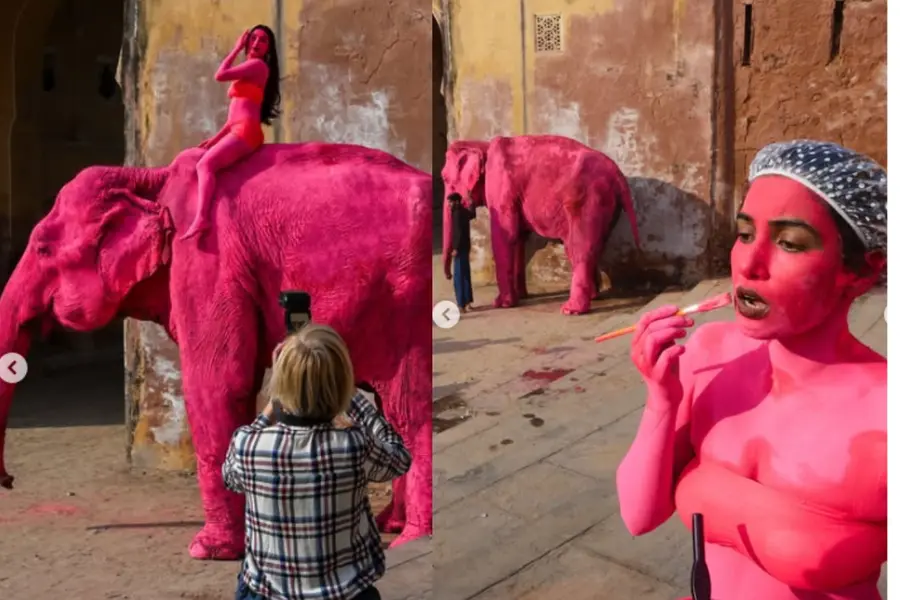 pink elephant