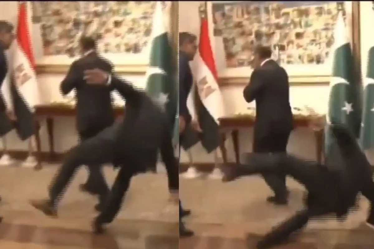 Pakistan Deputy Prime Minister Ishaq Dar fell during his Egyptian counterpart's reception