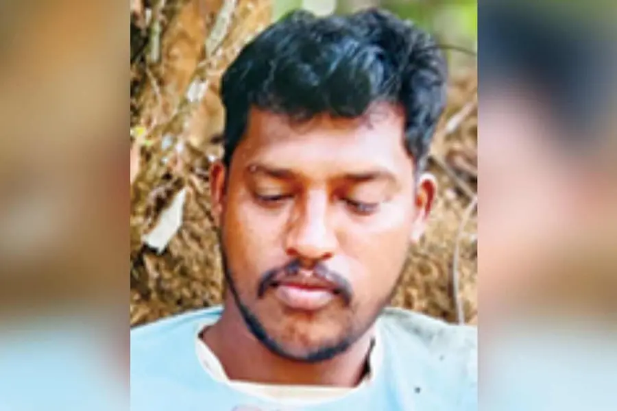 wayanad-tree-cutting