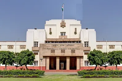 70,000 trees at risk? NGT issues notice over Ghaziabad city forest crisis