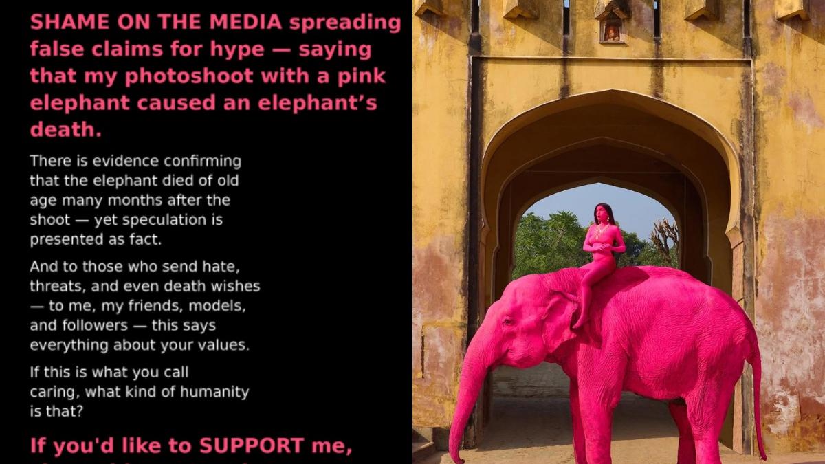 ‘Pink elephant’ drama deepens as photographer launches petition for herself; internet reacts