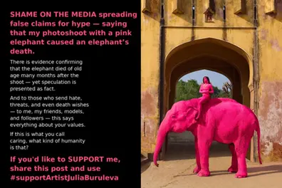 ‘Pink elephant’ drama deepens as photographer launches petition for herself; internet reacts