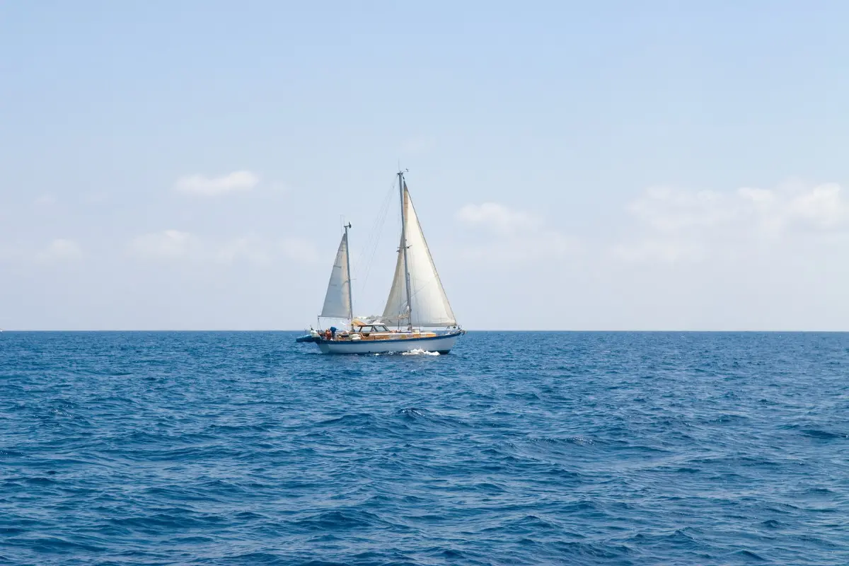 Representational image | canva