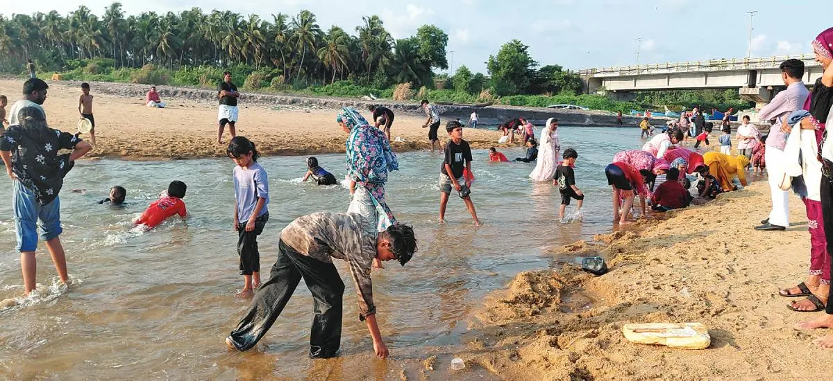 പരപ്പനങ്ങാടി കെട്ടുങ്ങൽ അഴിമുഖത്ത് എരുന്ത് ശേഖരിക്കുന്ന സന്ദർശകർ