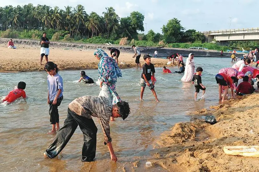 പരപ്പനങ്ങാടി കെട്ടുങ്ങൽ തീരത്ത് 'എരുന്ത് ചാകര'