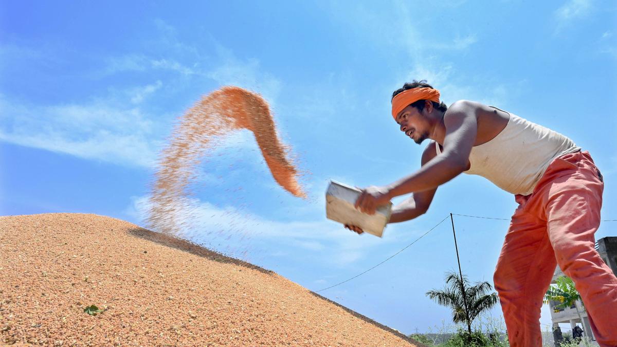 Global food prices rise again: Will groceries get costlier in 2026?