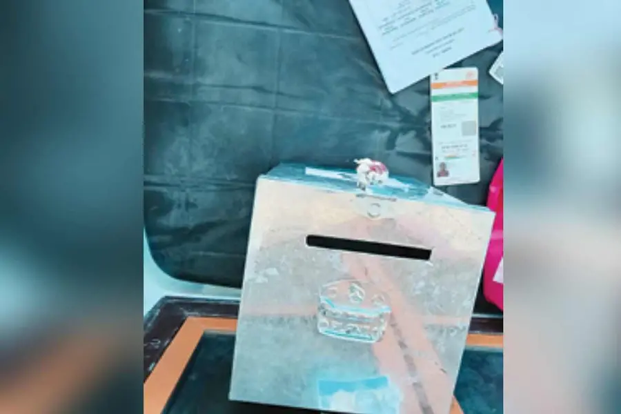 ballot-box