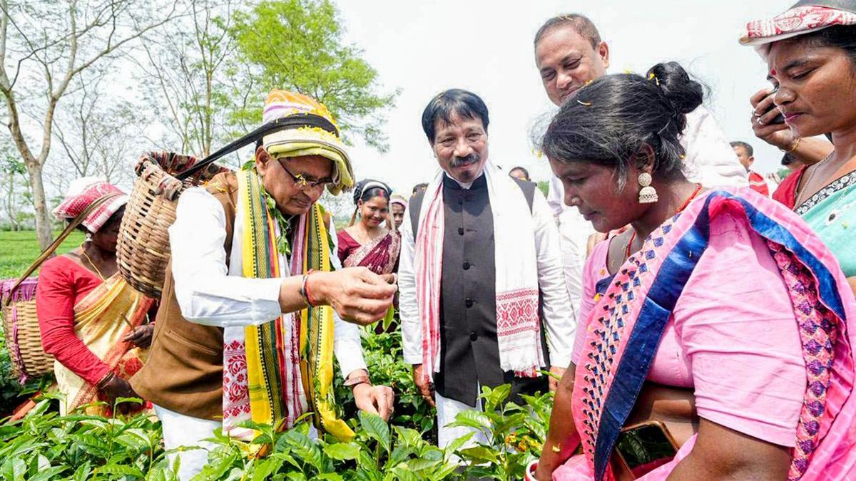 Political parties in Assam vie for support of tea tribe, a decisive voting bloc in elections