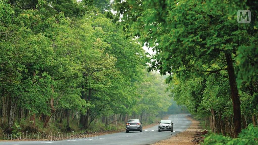 Himachal govt sets target to increase state's forest cover to 32 per cent by 2030